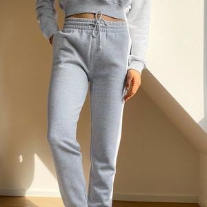 Aritzia TNA cozy af boyfriend sweatpants (grey)